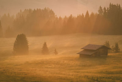Scenic view of trees on field with a cabin during sunrise