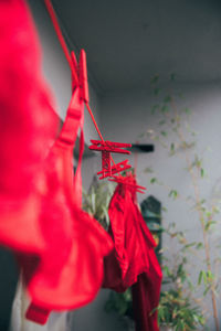 Close-up of red lingerie hanging on clothesline