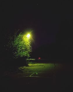 Illuminated street light in park at night