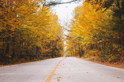 Abandoned empty road street in colorful autumn forest park with yellow orange red leaves on trees. 