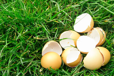 Close-up of broken eggs on grassy field