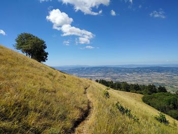 Scenic view of field against blue sky