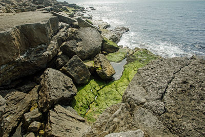 High angle view of rocks on beach