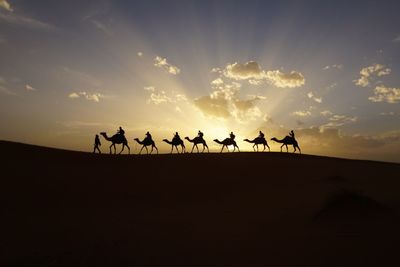 Silhouette of camels against sky during sunset