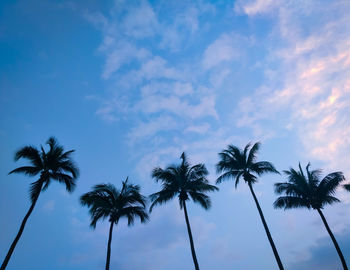 Low angle view of coconut palm trees against blue sky