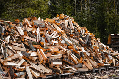 Stack of logs on field in forest