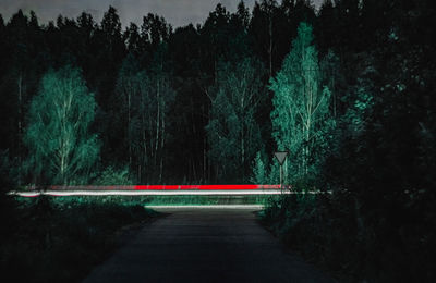 Light trails on road in forest