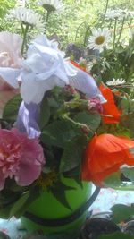 Close-up of flowers