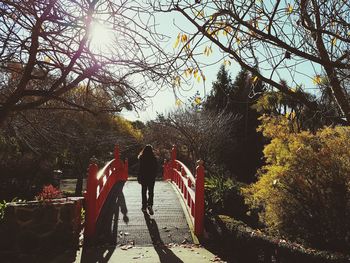 Rear view of people standing by bare trees against sky