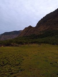 Scenic view of landscape and mountains against sky