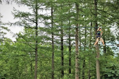 Boy walking on rope in forest