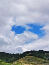 Low angle view of trees on mountain against sky