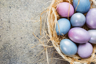 High angle view of easter eggs in nest