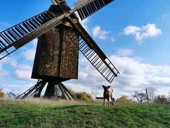 Windmill, jeetze