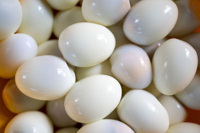 High angle view of eggs in container