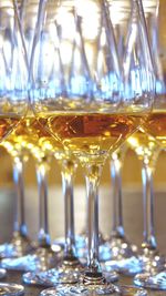 Close-up of wine in glass