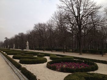 Trees and plants in park against sky