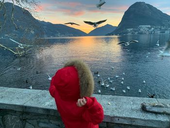 Rear view of woman feeding seagulls during sunset