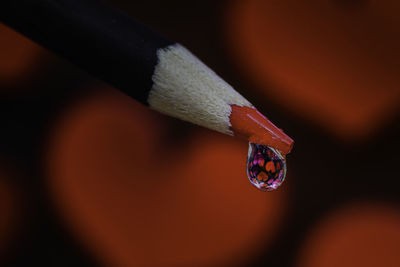 Close-up of droplet on colored pencil