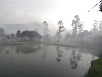 Scenic view of lake by trees against sky