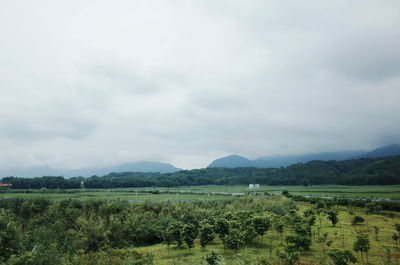 Scenic view of field against sky