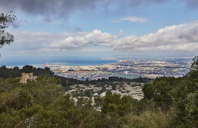 Haifa Panoramic