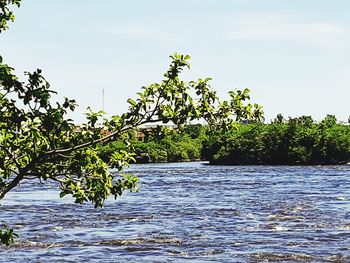 Scenic view of river against sky