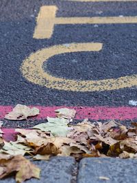 Close-up of autumn leaves on road