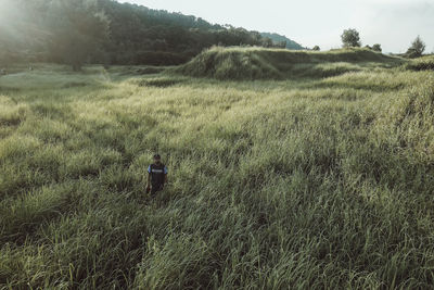 Rear view of man walking on field