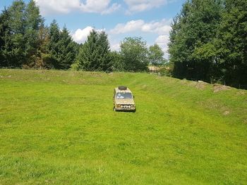 Vintage car on field against sky