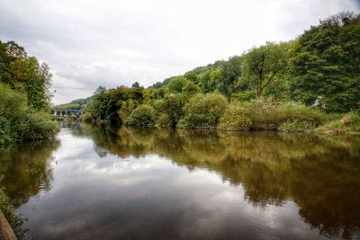 Scenic view of river by trees against sky