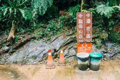 Information sign on road in forest