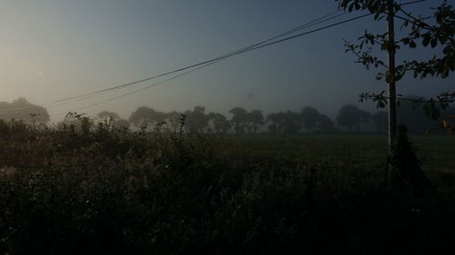 Scenic view of field against clear sky