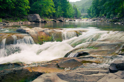 High angle view of river flowing in forest