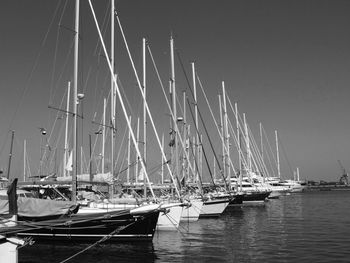 Sailboats in marina