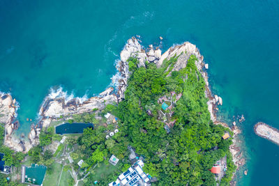 High angle view of plants on beach