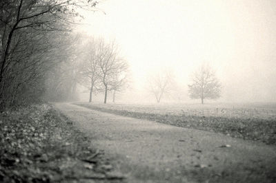 Road passing through bare trees