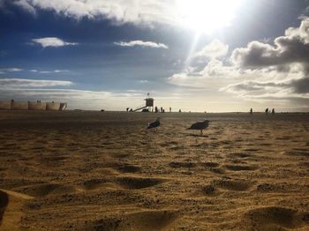 People on beach against sky