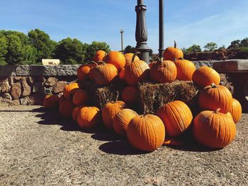 Stack of pumpkins