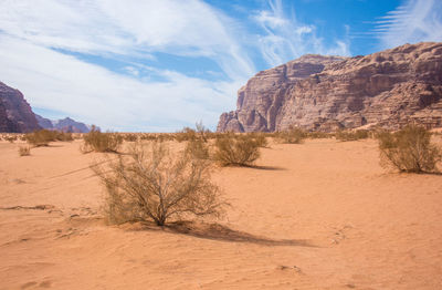 Scenic view of desert against sky