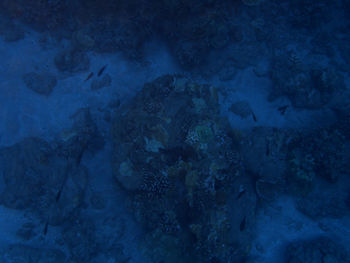 Full frame shot of underwater