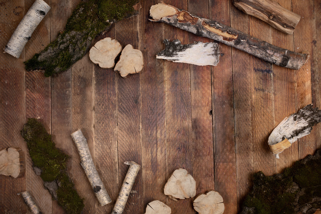 CLOSE-UP OF OLD WOODEN LOG