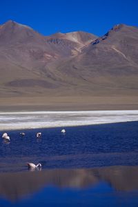 Scenic view of sea against mountain