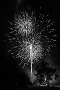 Low angle view of firework display at night