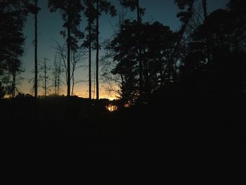 Silhouette of trees at sunset