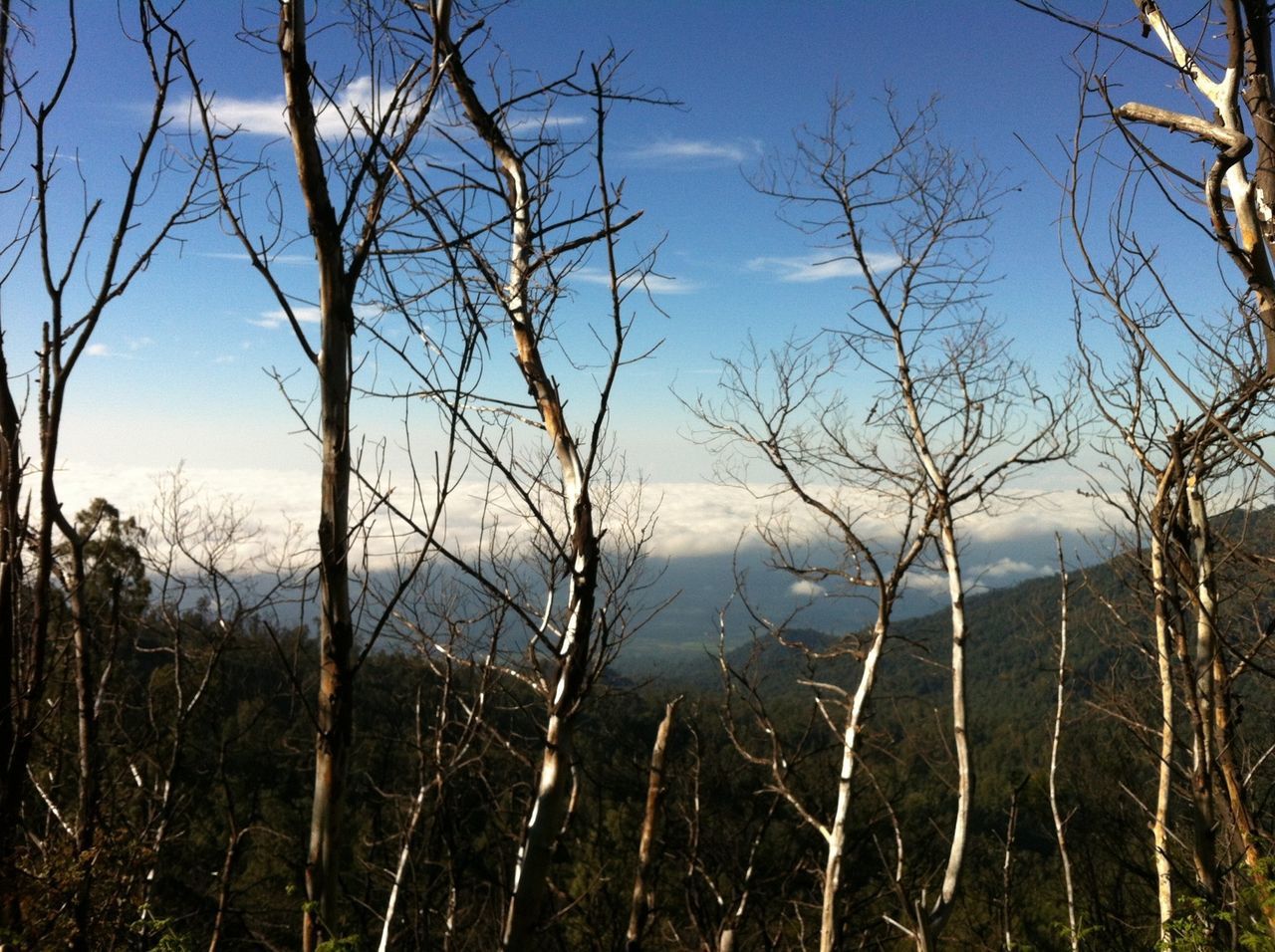 Kawah ijen