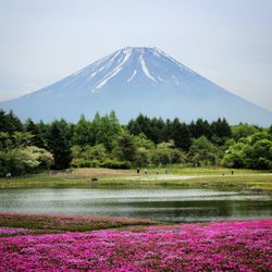 Scenic view of landscape