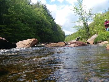 Scenic view of river in forest against sky