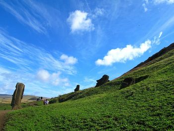 Scenic view of grassy field against cloudy sky