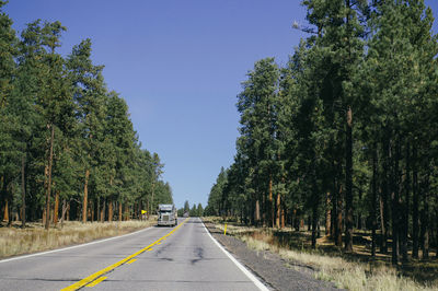 Road amidst trees against clear sky